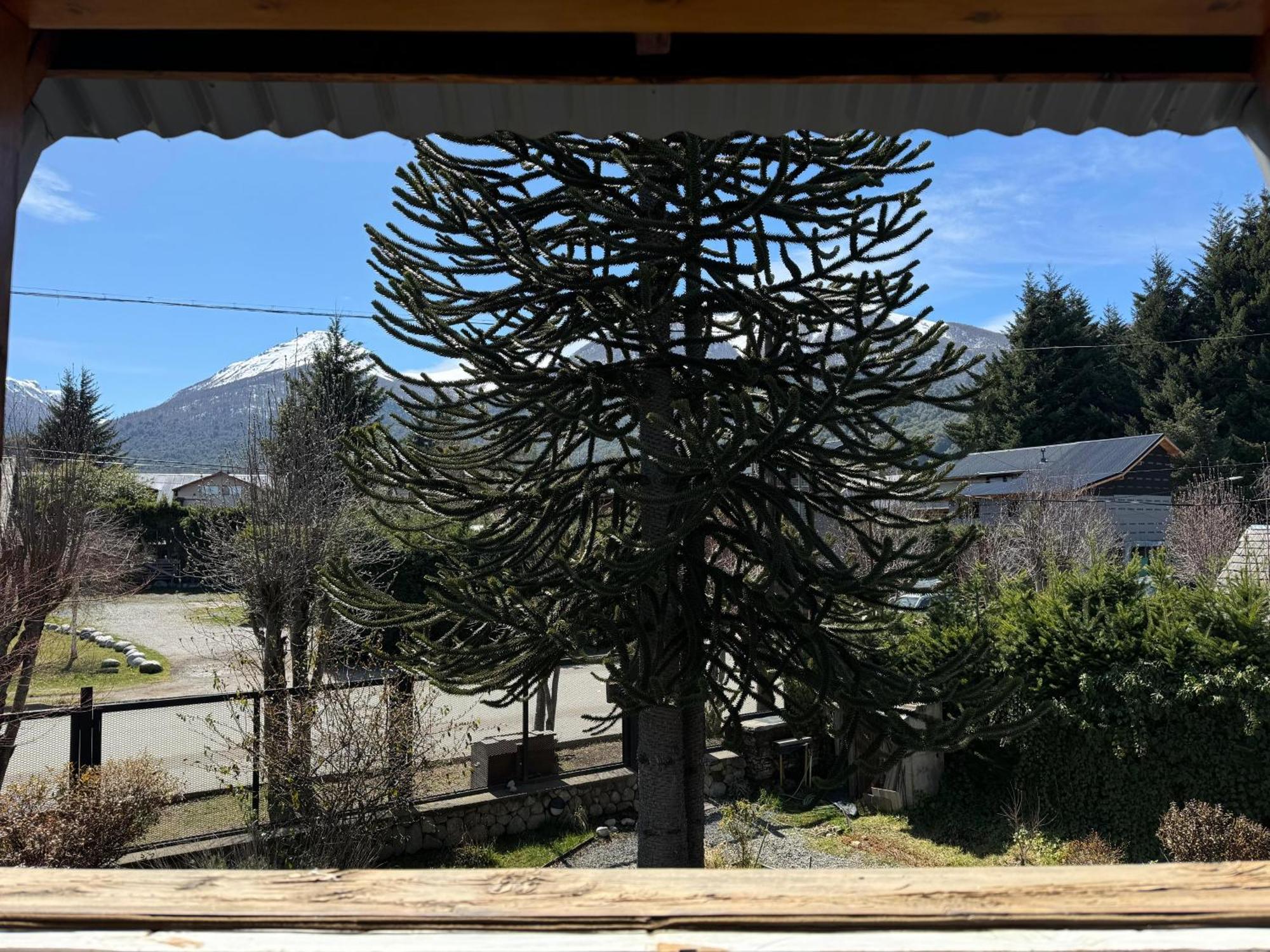 Chalet Casa Orion